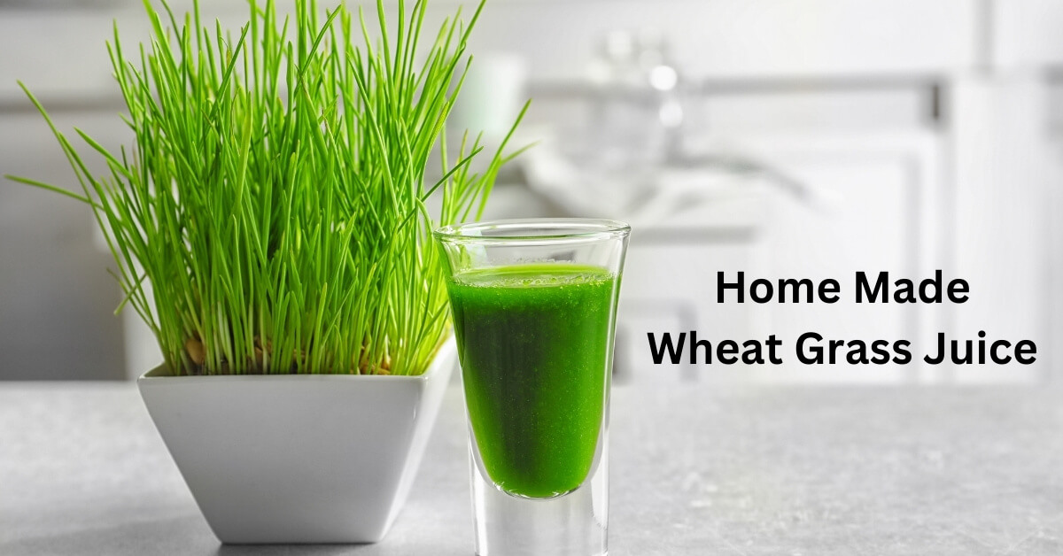 how to make wheat grass juice at home